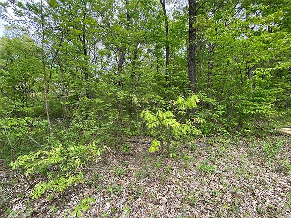 4th image of 0 Bear Creek Rd
