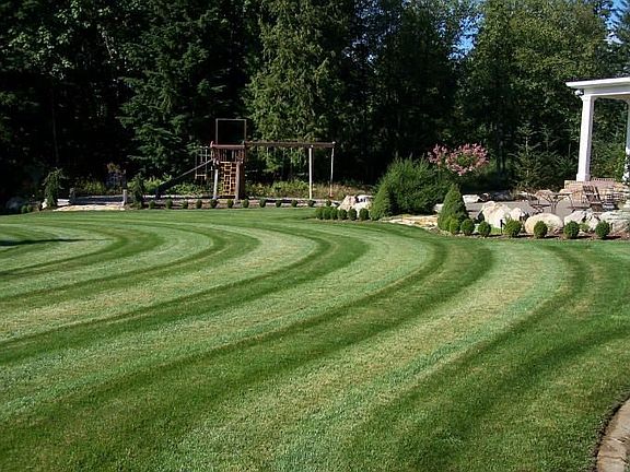 Manicured lawns & Acreage