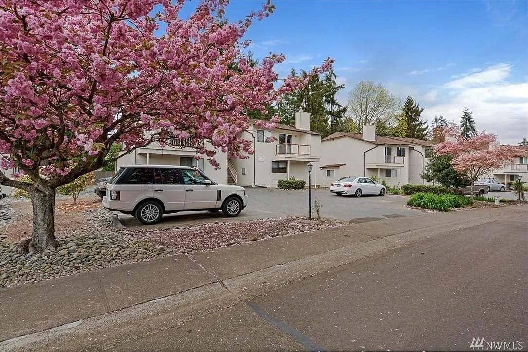 2 bed, 1000 sqft, $1,900 — Photo 3