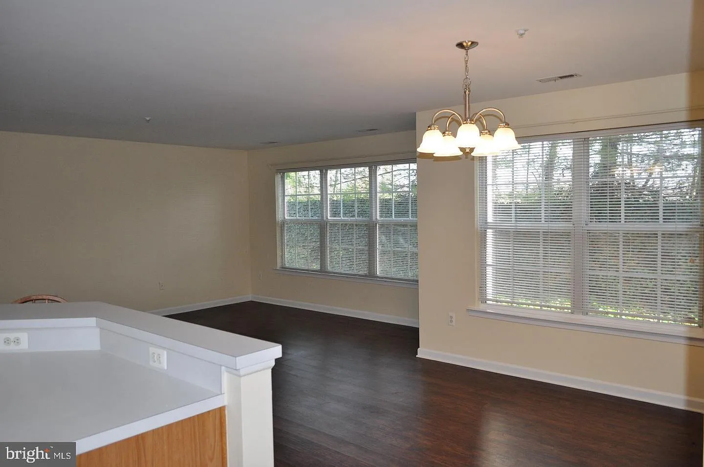 Potomac Ridge — Photo 4