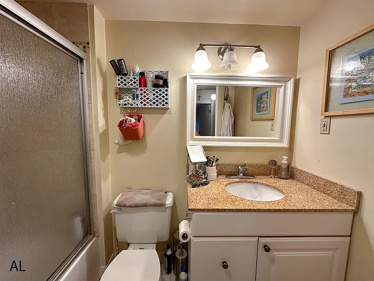 530 S 2nd St #534 — Photo 12