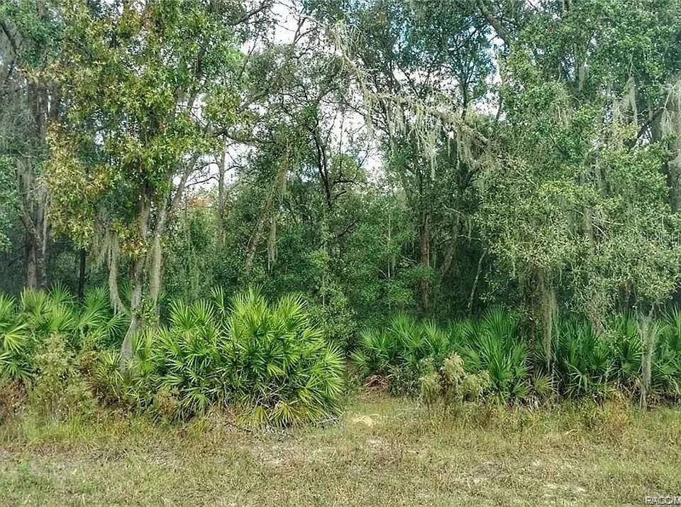 1st image of 9690 W Watermelon Ln