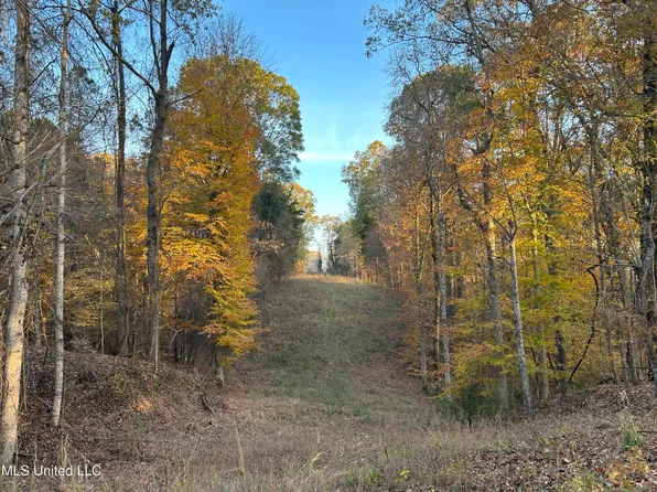 Perry Creek Rd, Yazoo City, MS 39194