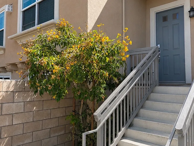 759 Magnolia Ave — Photo 12