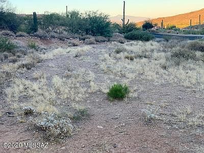 5th image of 3172 W Salvia Dr