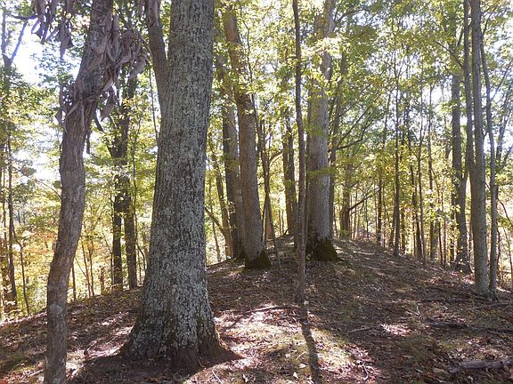 56th image of this home