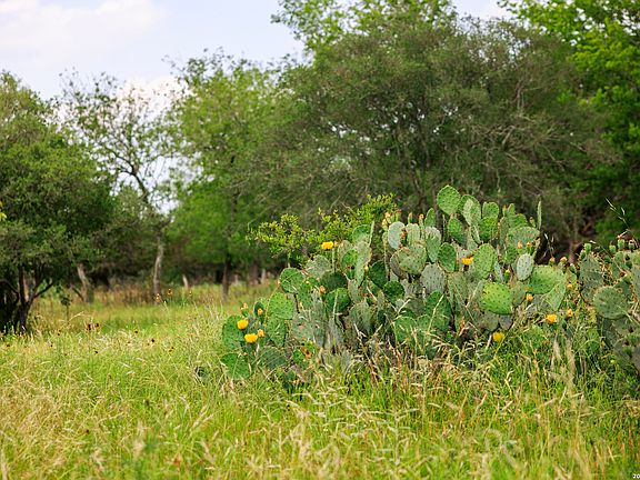 5th image of 000 Clearwater Ranches 17 LOT 17