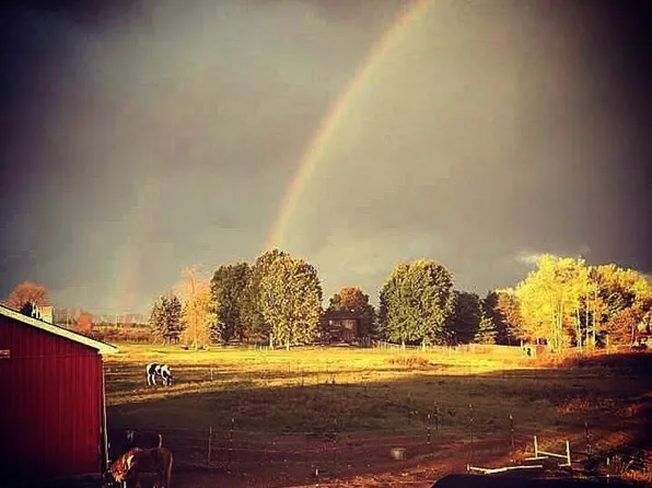519 County Route 164, Callicoon, NY 12723