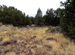8493 Cannon Blvd, Show Low, AZ 85901