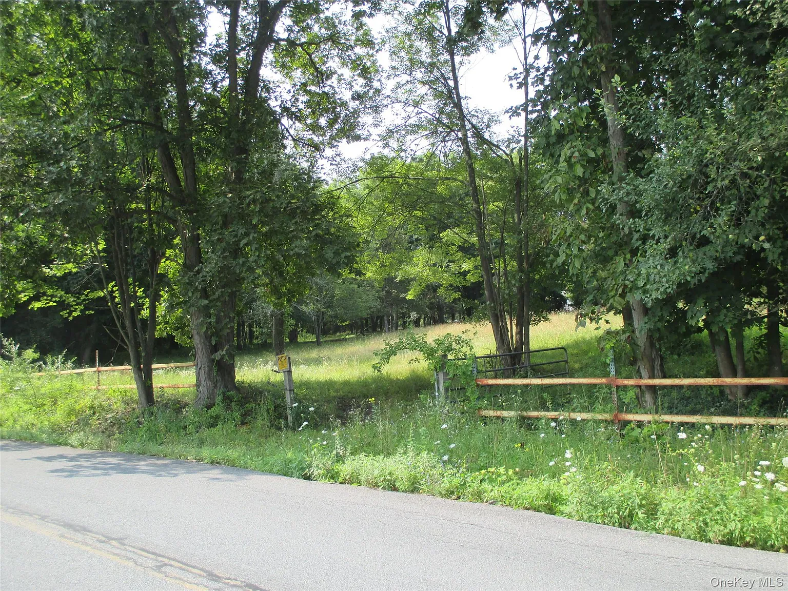 Brady Road photo 1