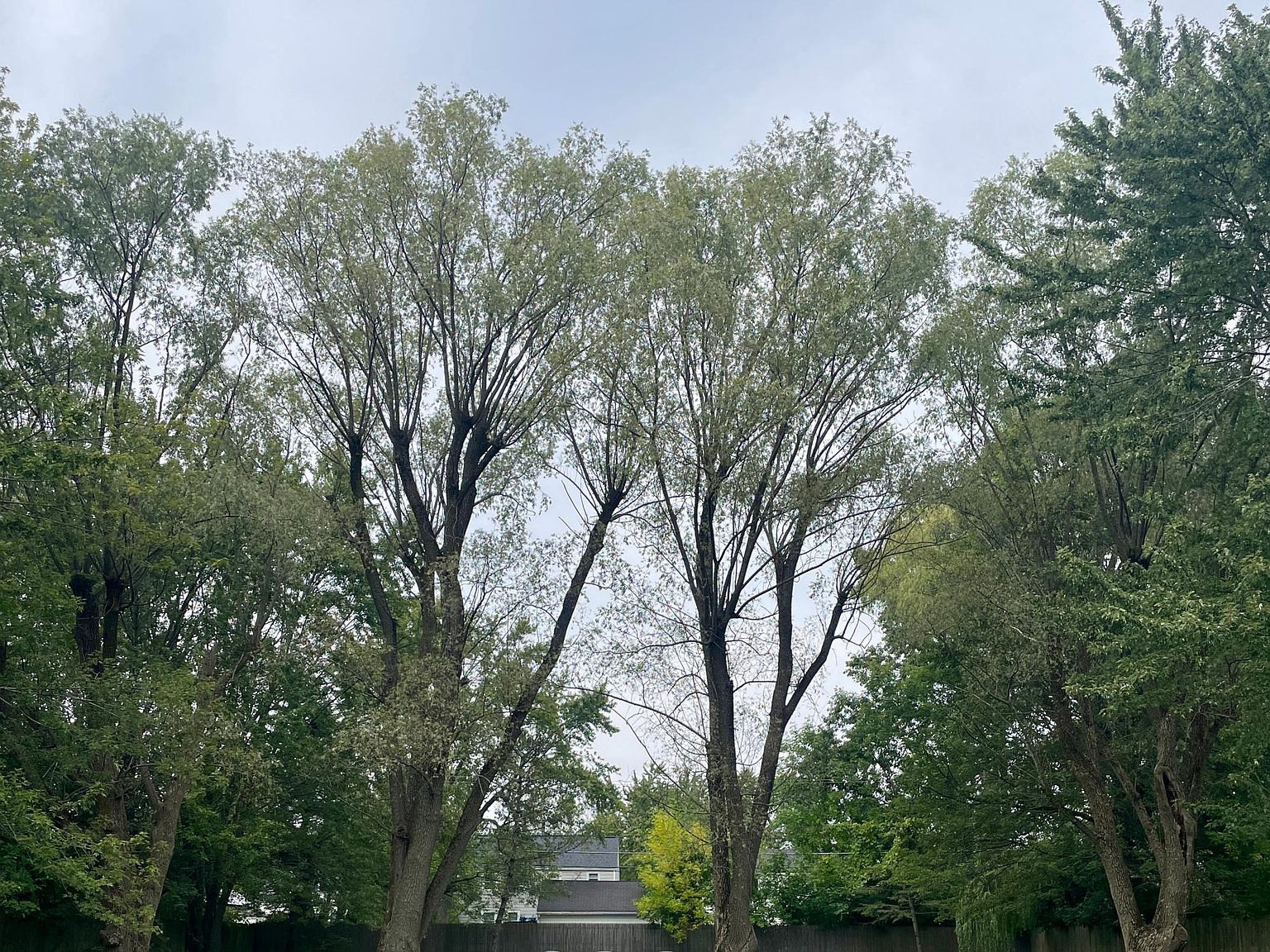 390 Lebrun Rd, Buffalo, NY 14226 Zillow