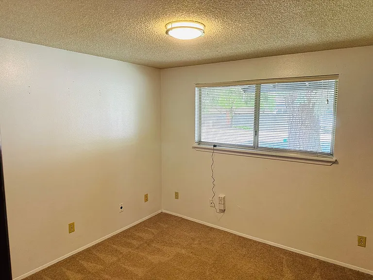 122 Gun Club Rd — Photo 11