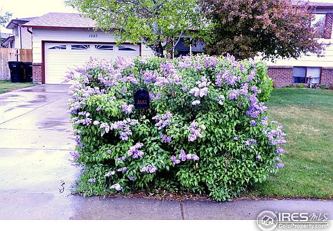3rd image of 1643 34th Ave
