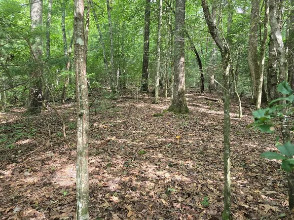 Swallows Creek Rd, Hiawassee, GA 30546