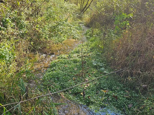 Cty #27, Rushford, MN 55971