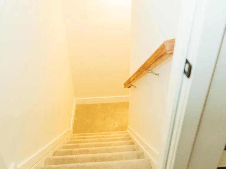 1013 Epiphany Rd — Photo 33