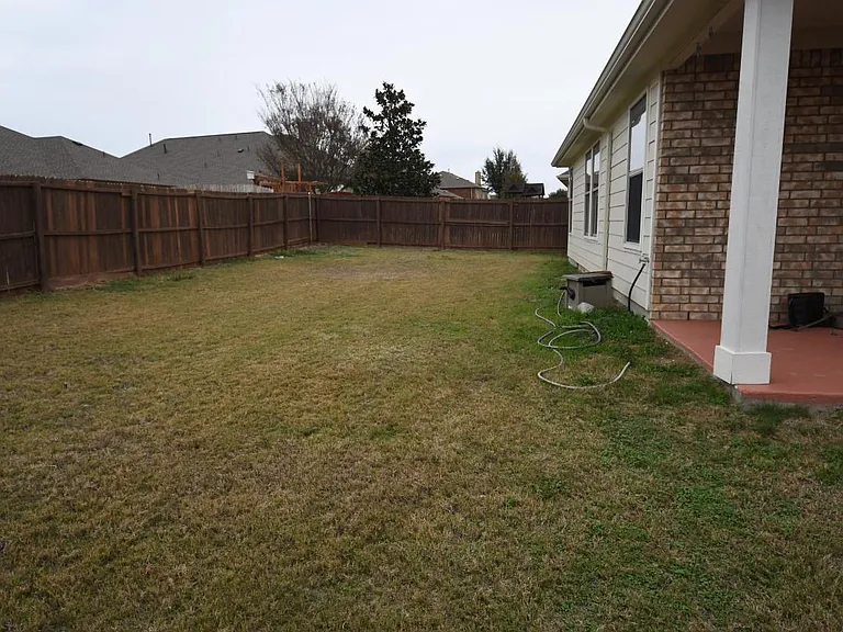 Back yard