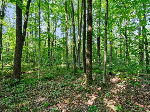 8719 Spring Ridge Dr, Petoskey, MI 49770