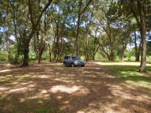3rd image of 3338 Sam Allen Oaks Cir