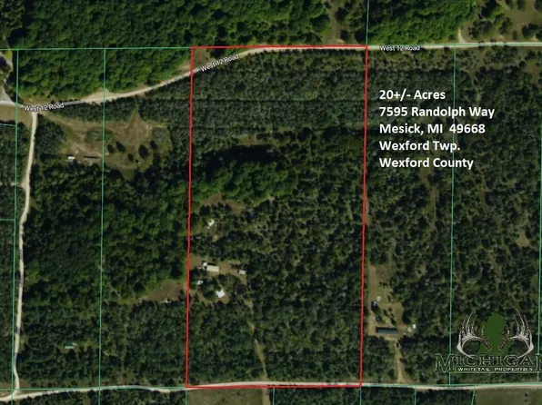 7595 Randolph Way, Mesick, MI 49668
