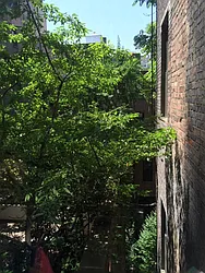 Rented by Peter Ashe