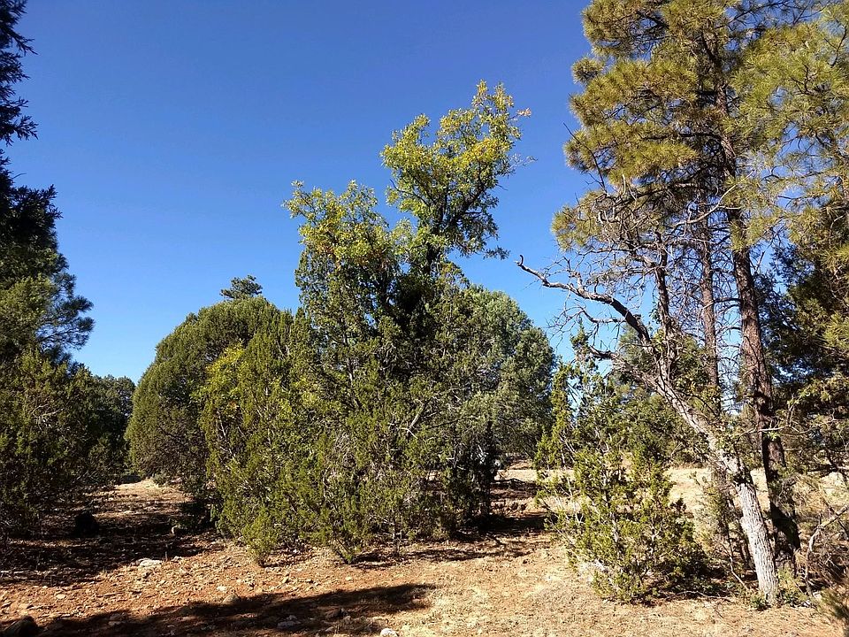 2nd image of 2899 Robin Ln