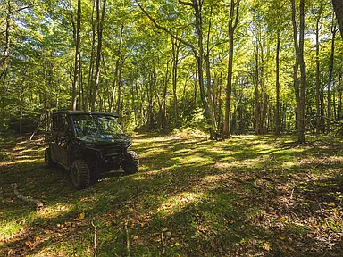 Property photo 47