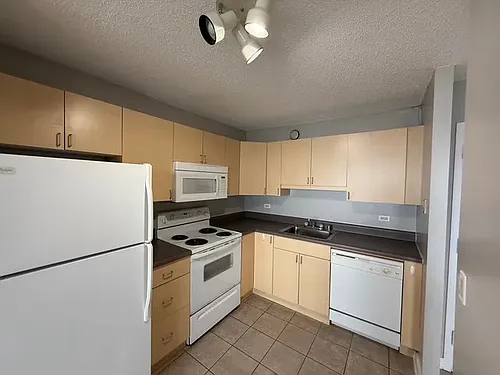 1212-13 S Michigan Ave #2-2802 Photo 1