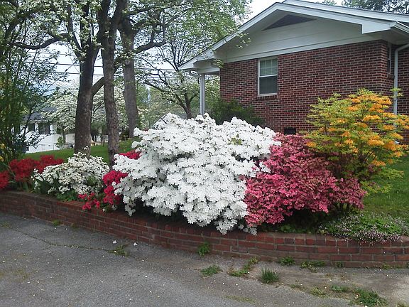 5th image of 3708 Tacoma Ave