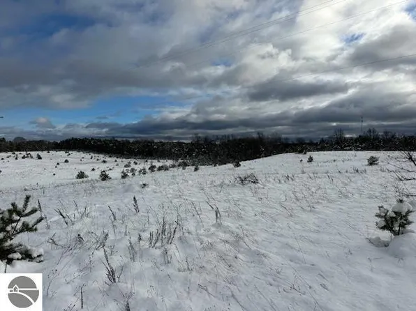 0 W 16th Rd, Mesick, MI 49668