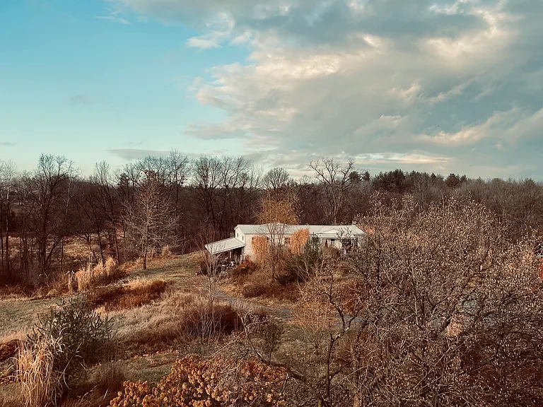 388 Eichybush Rd #10 — Photo 30