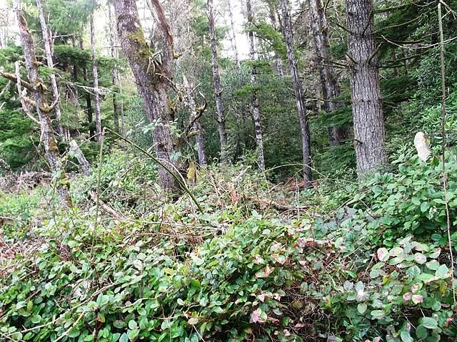 2nd image of Highland Dr #1