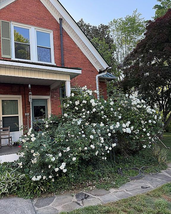 1st image of 105 Gwyn Ave