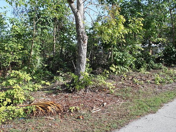 5th image of 1119 Carmen Ave