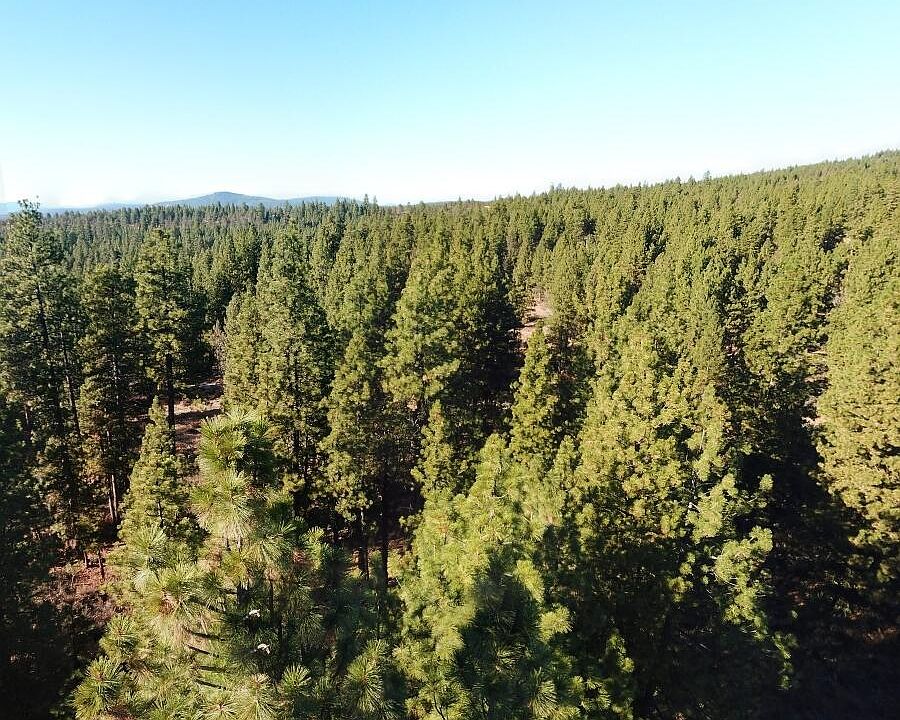2nd image of LOT 2 Panda Ln