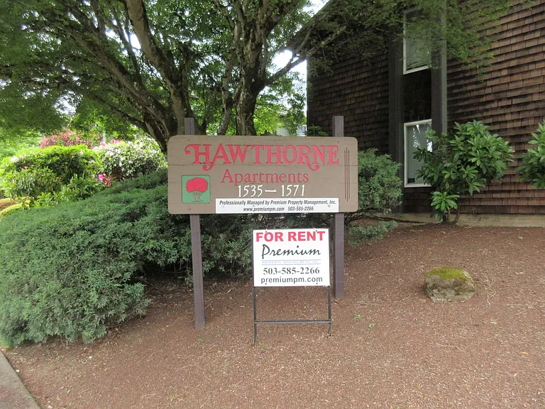 One Bedroom Apartment Close to Downtown — Photo 2