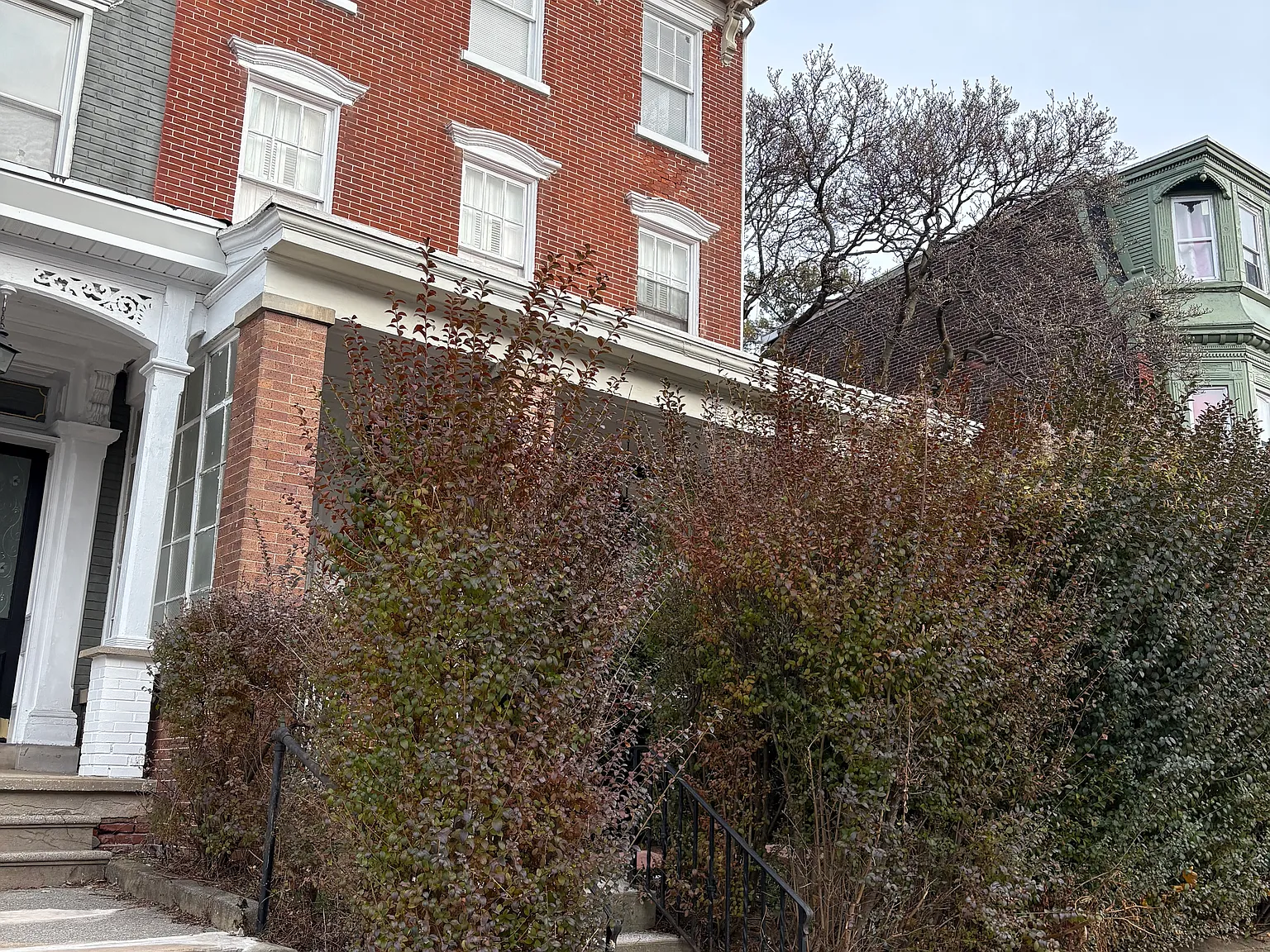 1 bed, 2000 sqft, $795 — Photo 1