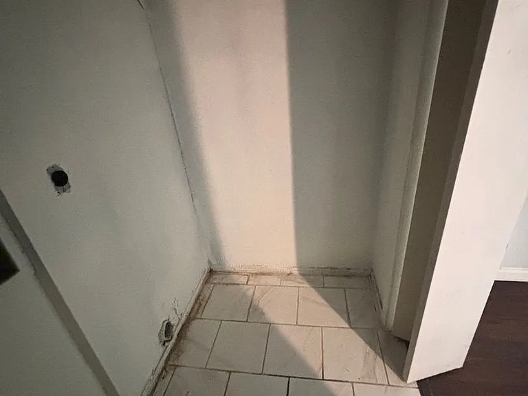 245 E Young Pl — Photo 9