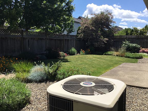 Photo taken June 4th 2018