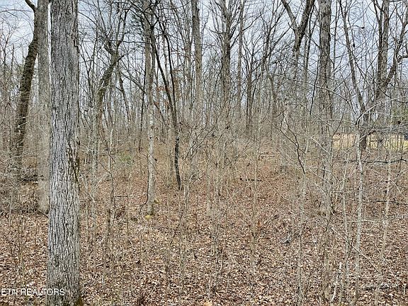 3rd image of 36 Tresa St Lot 36