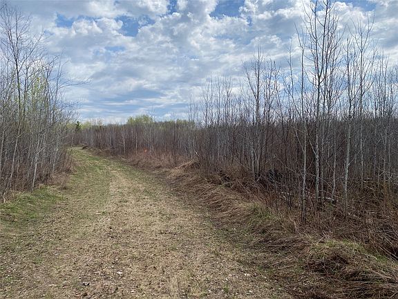 4th image of Near Wilson Lake Road
