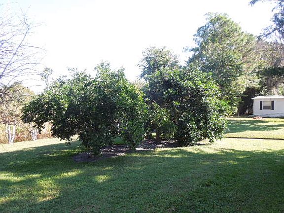 fruit trees