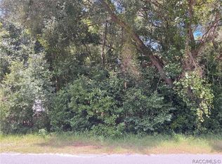 3953 E Sanders St, Inverness, FL 34453