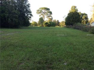 13215 Gibson Ln, Odessa, FL 33556