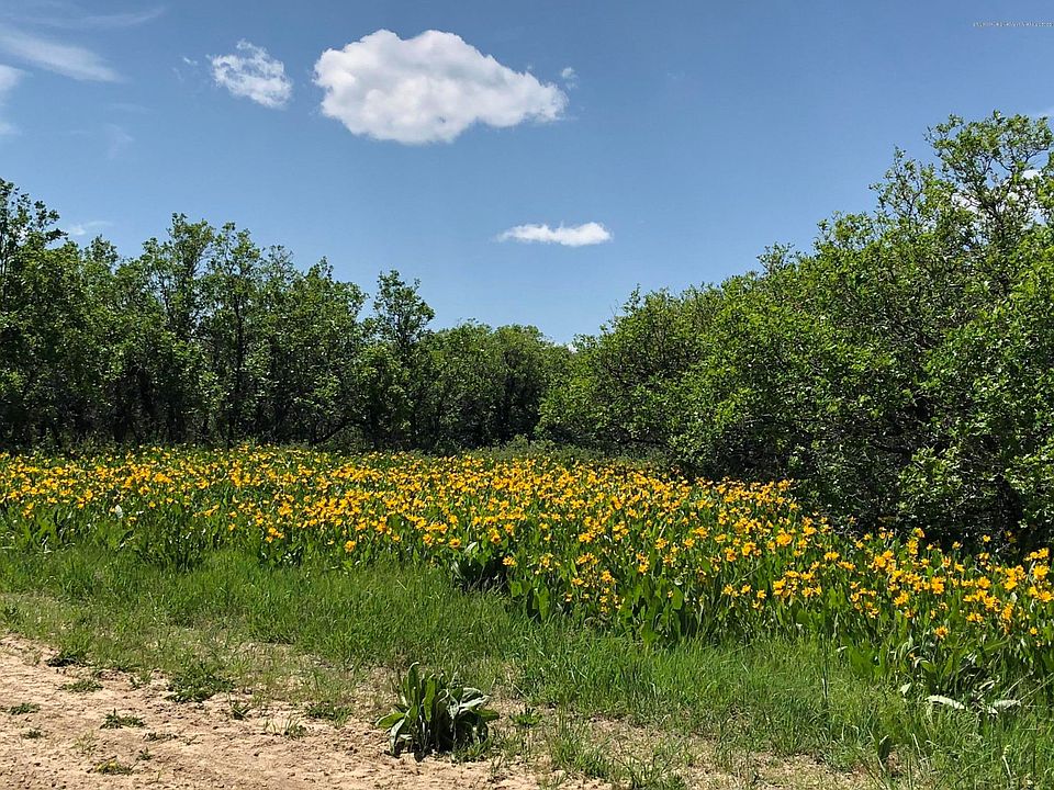 1st image of 4295 Timberlane Dr Lot 592-596