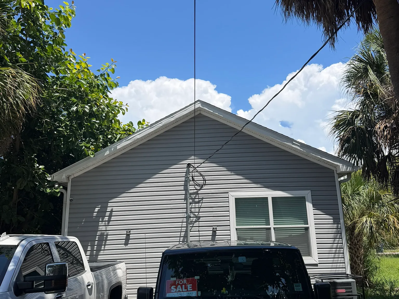 3 bed, 1250 sqft, $3,000 — Photo 4