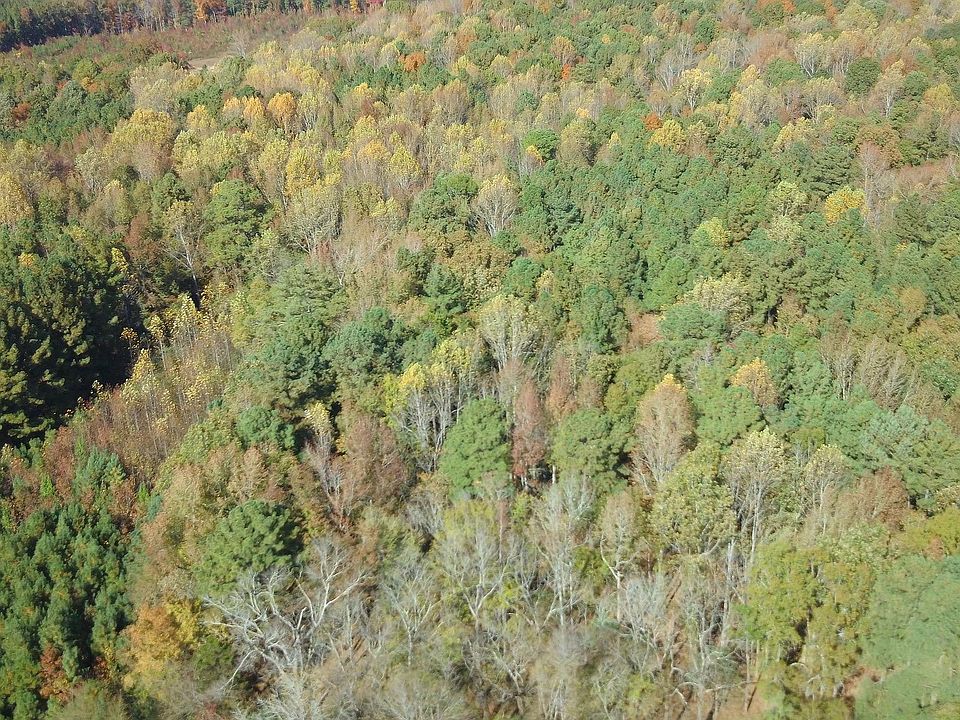 1st image of 686 Wilson Creek Ln