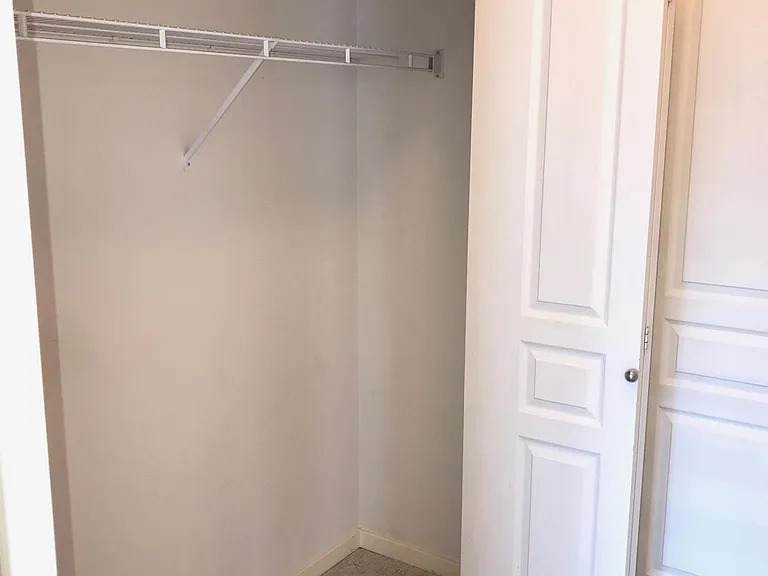 Bedroom Closet 1