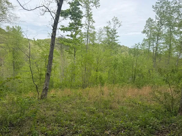 999 Big Cave Rd, Orlando, KY 40460