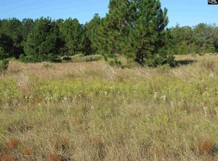 3148 Neely Wingard Rd, Leesville, SC 29070